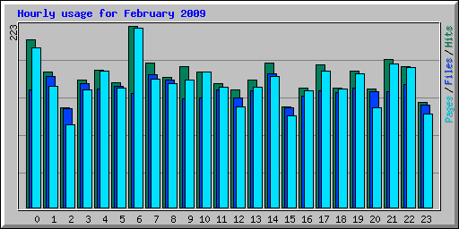 Hourly usage for February 2009