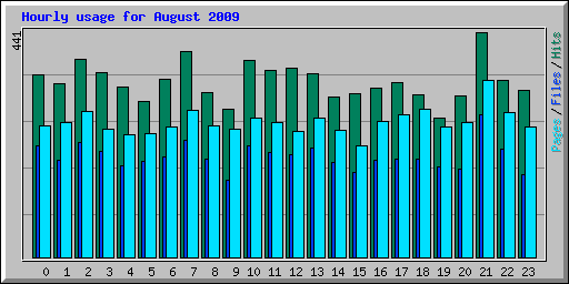 Hourly usage for August 2009