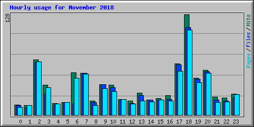 Hourly usage for November 2018