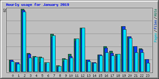 Hourly usage for January 2019