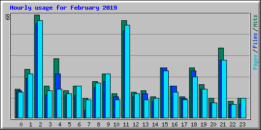 Hourly usage for February 2019