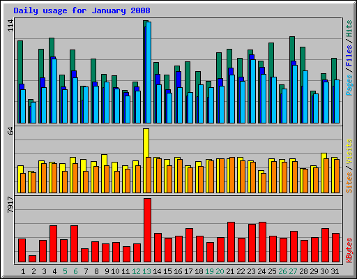 Daily usage for January 2008