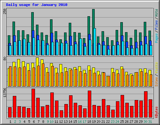Daily usage for January 2010