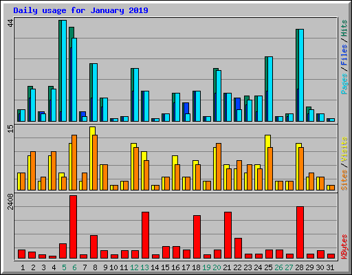Daily usage for January 2019