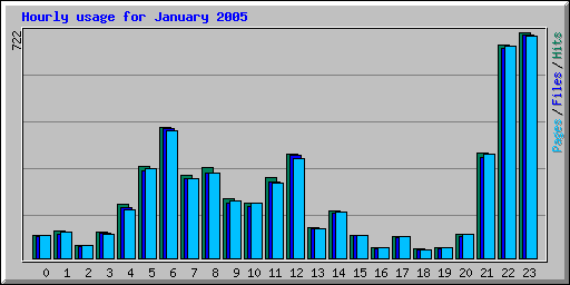 Hourly usage for January 2005