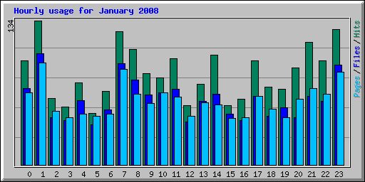 Hourly usage for January 2008