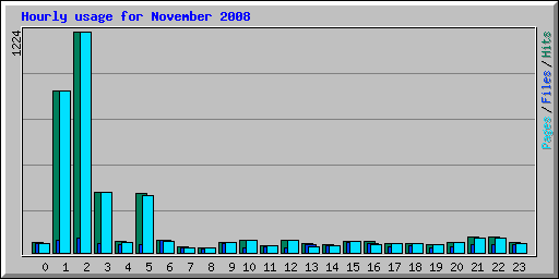 Hourly usage for November 2008