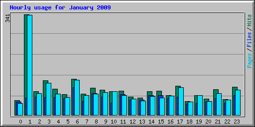 Hourly usage for January 2009