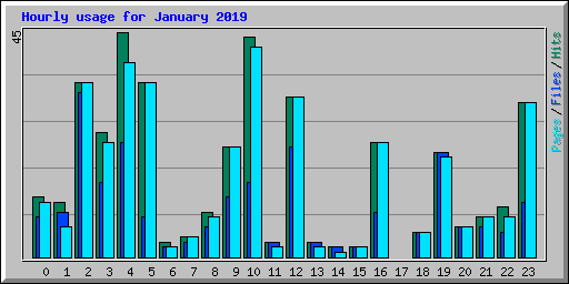 Hourly usage for January 2019
