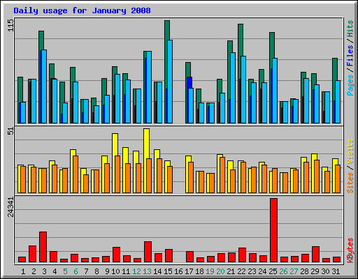 Daily usage for January 2008
