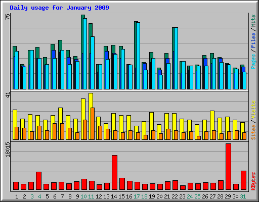 Daily usage for January 2009