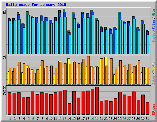 Daily usage for January 2019