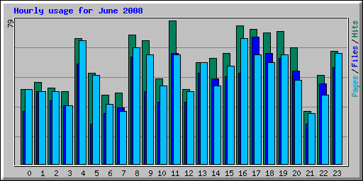 Hourly usage for June 2008