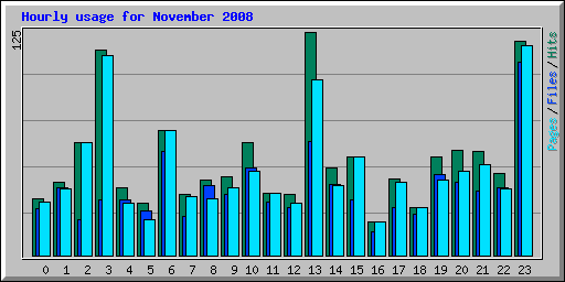 Hourly usage for November 2008