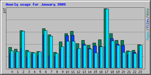 Hourly usage for January 2009