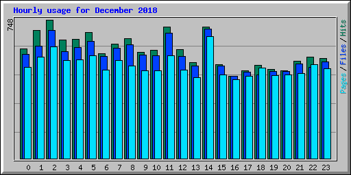 Hourly usage for December 2018