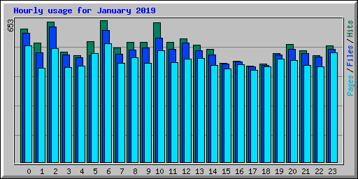 Hourly usage for January 2019