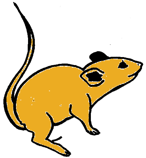 graphic image: Pet Mouse logo (golden mouse)
