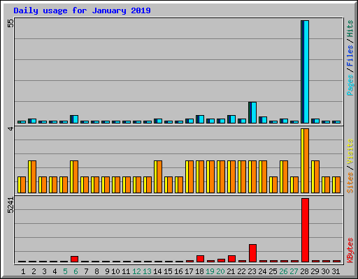 Daily usage for January 2019