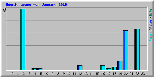 Hourly usage for January 2019