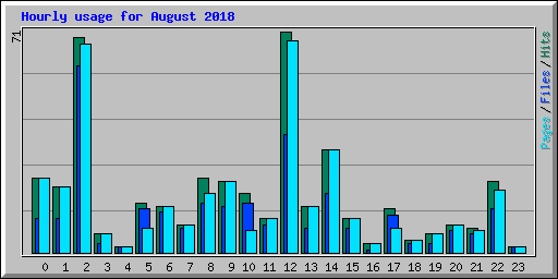 Hourly usage for August 2018
