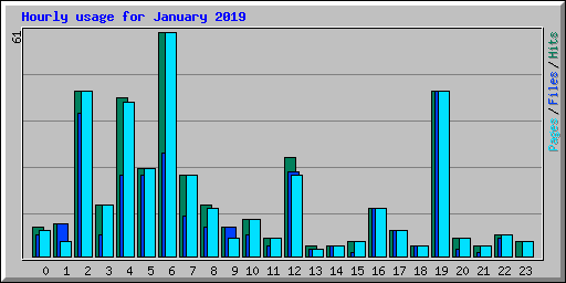 Hourly usage for January 2019