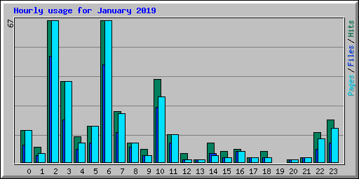 Hourly usage for January 2019