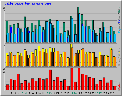 Daily usage for January 2008