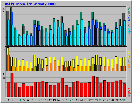 Daily usage for January 2009