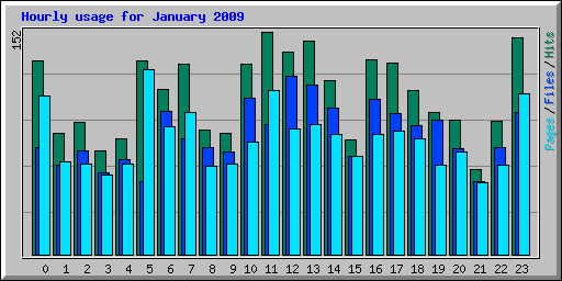 Hourly usage for January 2009