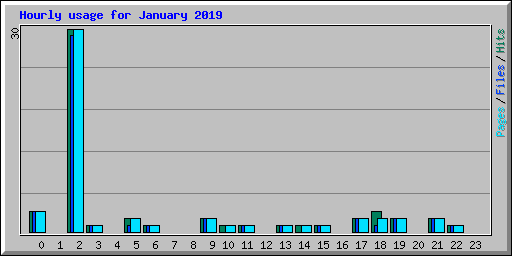 Hourly usage for January 2019