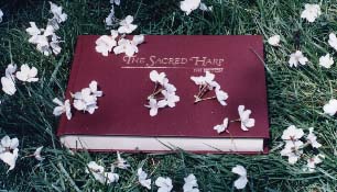 [photo of Sacred Harp tunebook on grass with fallen cherry blossoms]