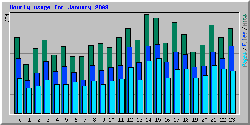 Hourly usage for January 2009