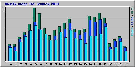 Hourly usage for January 2019