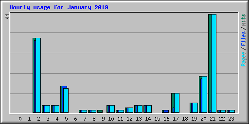 Hourly usage for January 2019