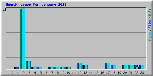 Hourly usage for January 2019