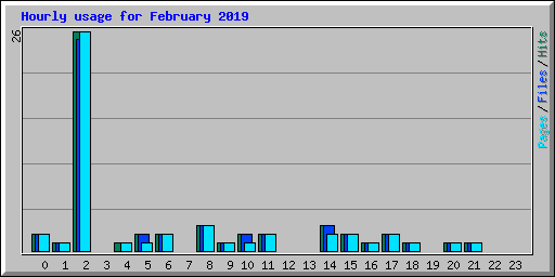 Hourly usage for February 2019