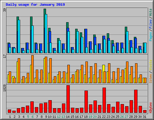 Daily usage for January 2019