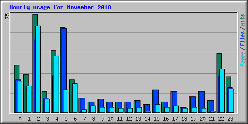 Hourly usage for November 2018