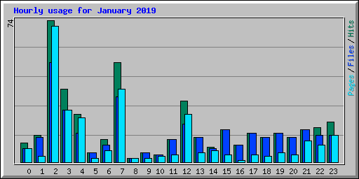 Hourly usage for January 2019