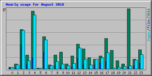Hourly usage for August 2018
