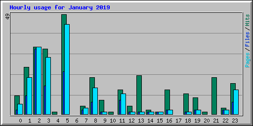 Hourly usage for January 2019