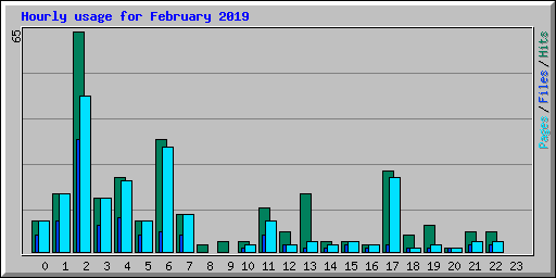 Hourly usage for February 2019